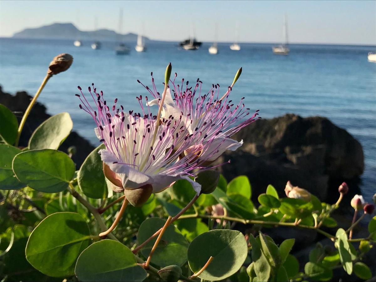 Zaffiro Lavico Rooms Etna Nature Sea 아치레알레 외부 사진